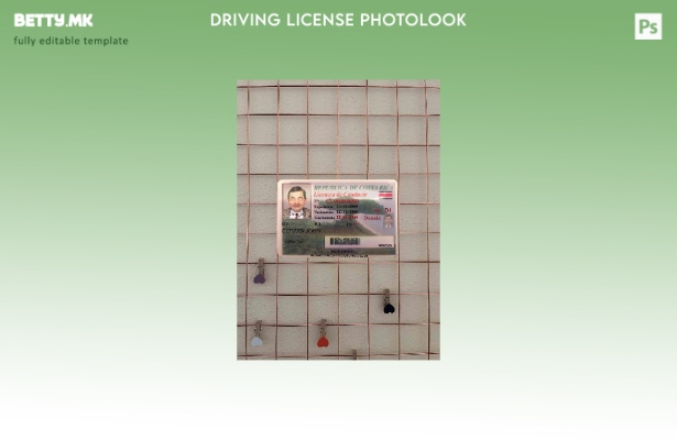 модерен стил на Костарика DL photolook FRONT шаблон